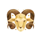 Aries